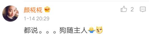 陈赫晒女儿给狗狗喂食,陈赫晒萌宠照片狗狗名字太霸气