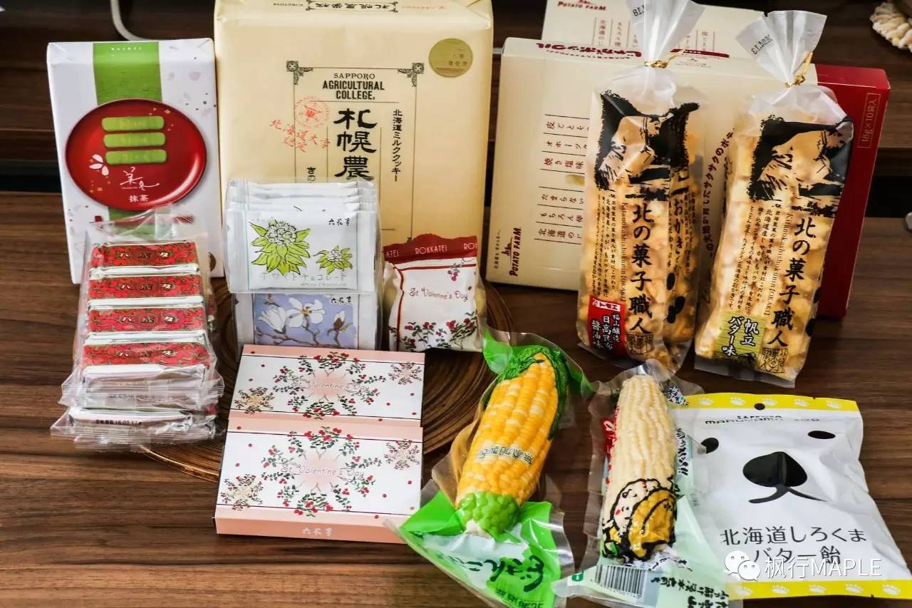 札幌｜北海道第一大城市的购物心经