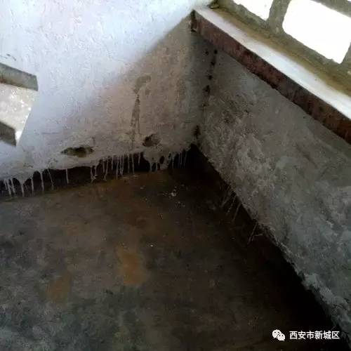 院长大搞翻新改造工程,院长翻天覆地的生活