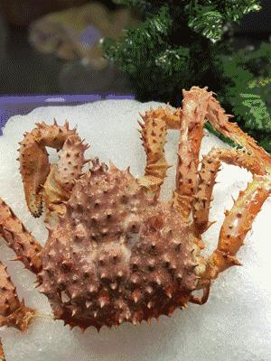 「订年夜饭赠波士顿龙虾」2017这么吃年夜饭最霸气！从没想过一顿自助，竟然吃几口就回本了……谁也别拦着我！今年就要在这儿吃！