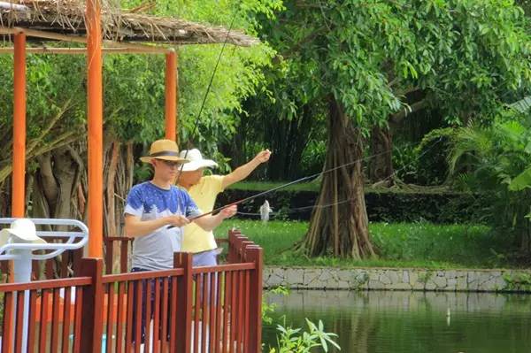 「资讯」亚龙湾红树林荣获2016中国旅游饭店业优秀企业称号，荣膺携程网年度多项大奖！