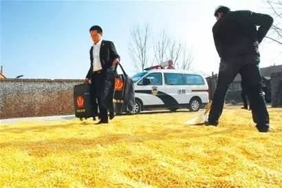 农村无证收购玉米违法吗,收购玉米非法经营罪案例