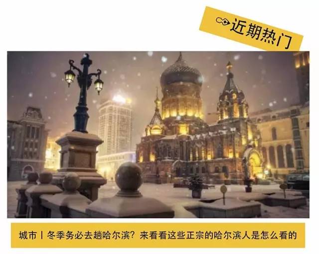 有一个街头艺术家把一只猫涂遍了巴黎，后来它遍布了全世界