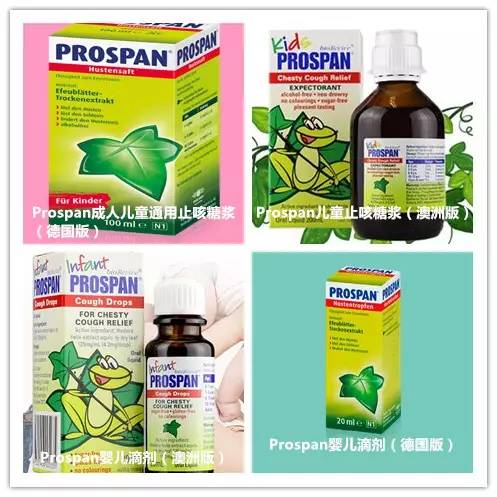 德国小绿叶的成分,德国小绿叶主要止咳成分