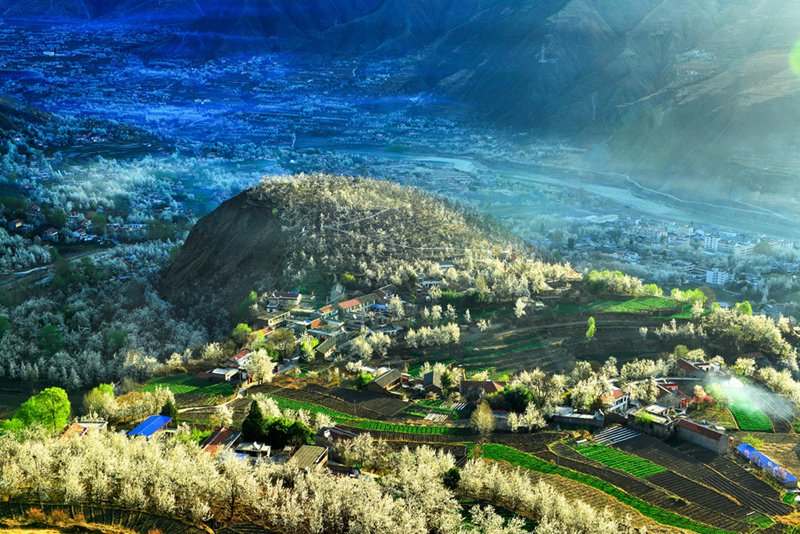 2019年成都自驾林芝看桃花,金川梨花赏花路线