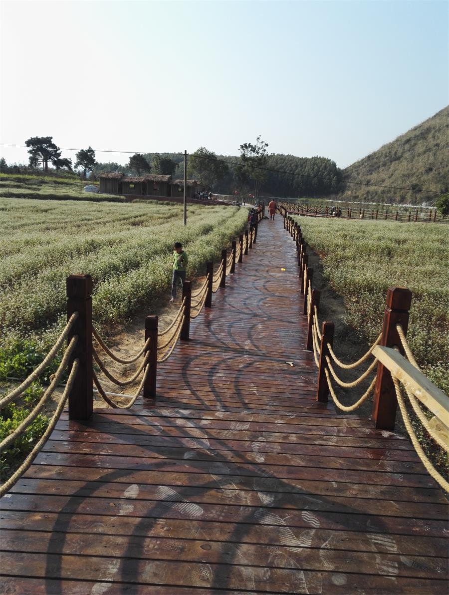 南宁风景区旅游景点排名榜前十名,南宁首批十大特色旅游名镇