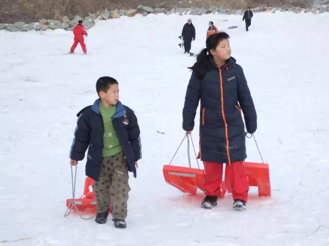 哈尔滨冬天免费玩雪的地方,哈尔滨冰雪旅游春节