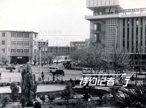 特约记者行郁金香完整版,特约记者行最新视频