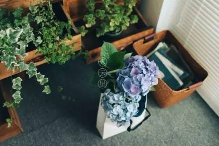 无底线提升千元出租屋品味，看90后美少年怎样活出无数人向往的样子……