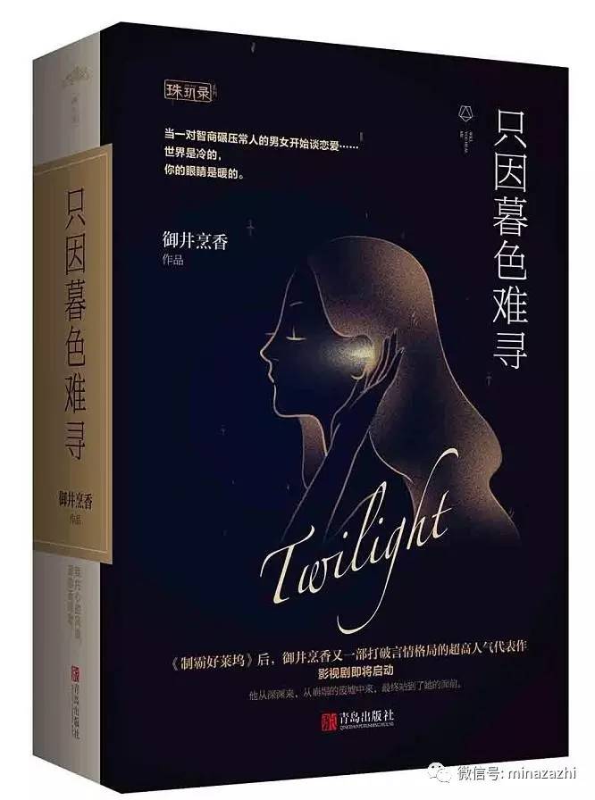 不再书荒言情小说推荐,不再剧荒电视剧