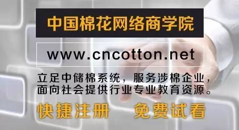 *疆新**：节后棉市暖意浓业界信心较强