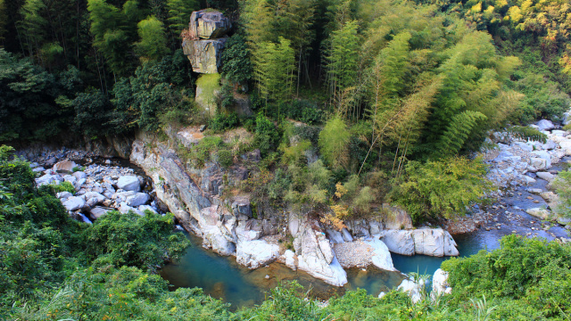 属鸡的人，去这些地方都免费了……
