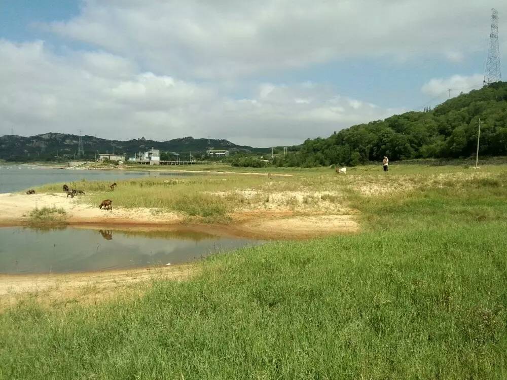 是谁含辛茹苦抚养你长大,是谁养育了我朗诵