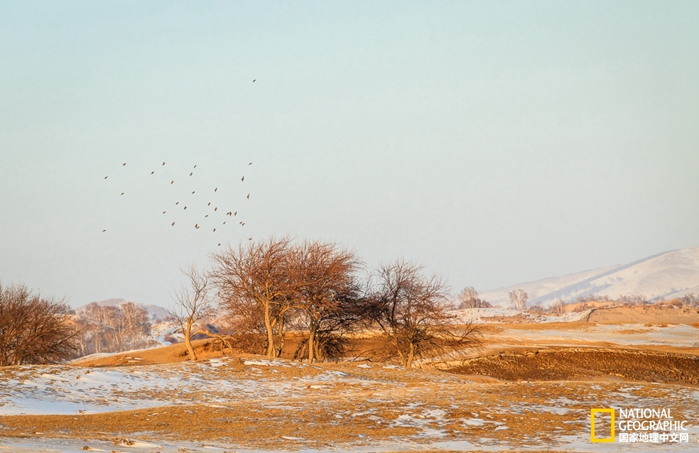 趁冬天还没有来临之前去一趟,一起到坝上去看雪