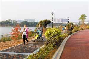 深圳宝安立新湖“华丽变身”获点赞