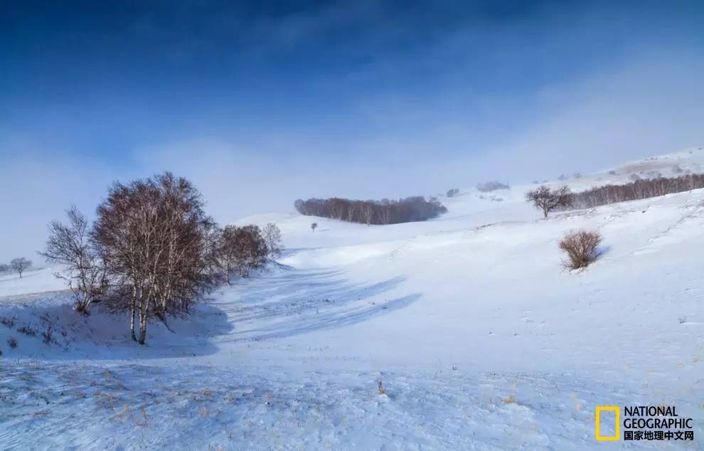趁冬天还没有来临之前去一趟,一起到坝上去看雪