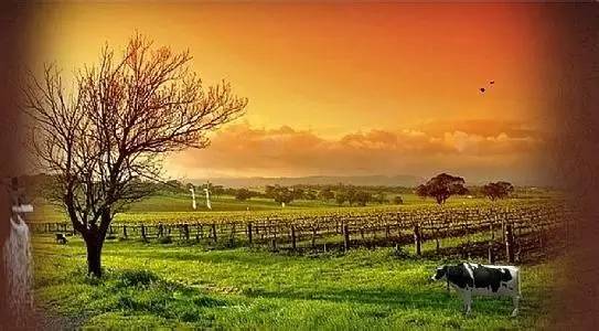 冬游踏雪,冬游沂蒙山