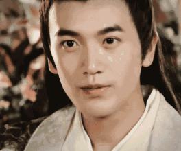 他是古装男神，有李连杰的功夫、梁朝伟的演技，精通5国语言6门武术，为什么没有大红？