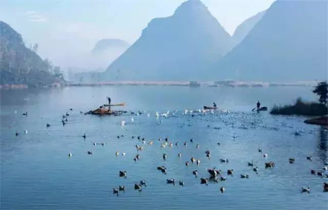普者黑三生三世十里桃花风景,丘北普者黑十里桃花