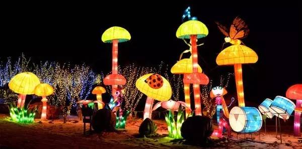 沈阳正月十五赏花灯,正月十五闹花灯沈阳好去处推荐