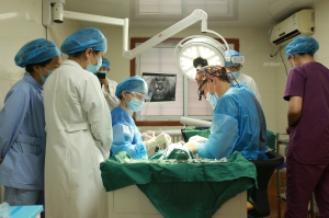 种植牙注意事项与禁忌动画,高龄种牙种植技术