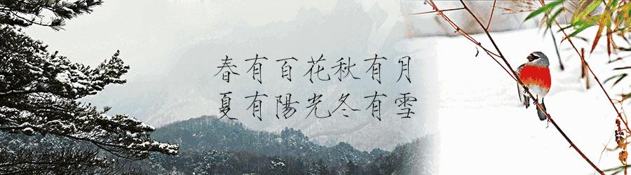 人物｜任学波：轮椅上的“村淘客”