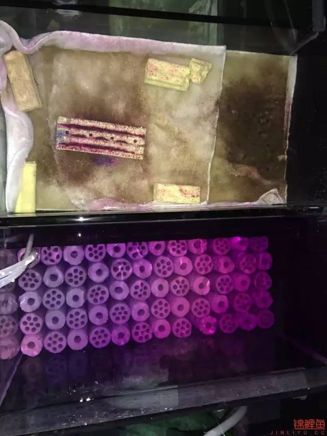 地缸里面漂浮的粉末怎么解决,粘的地缸怎么干得快