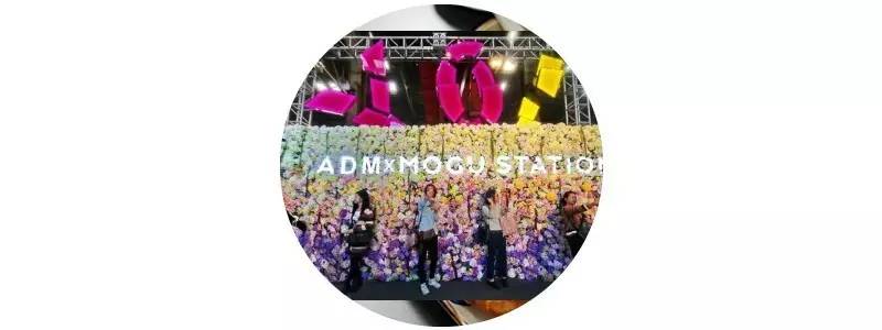 杭州-3℃，西湖边却开出了10000朵鲜花墙，只为让你度过一个史上最最少女心的情人节……