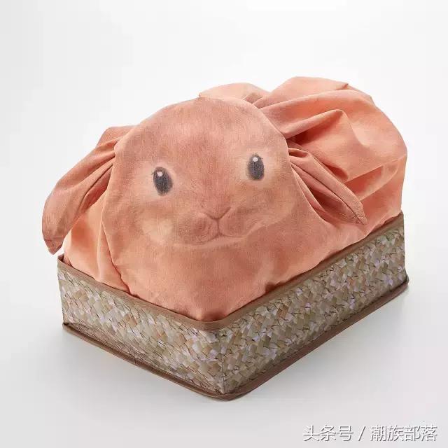 猫控保健,猫控送什么礼物