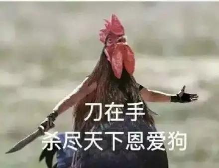 各大牌鸡年限定款,外国人对“鸡”有什么误会?