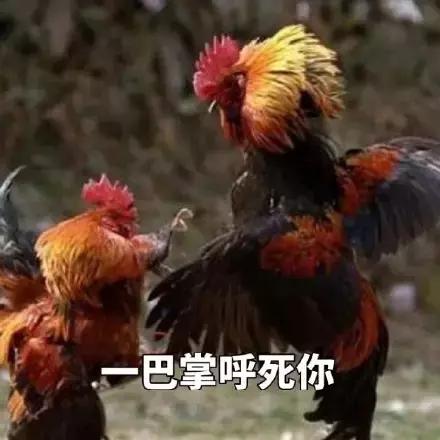 各大牌鸡年限定,外国人对鸡看法