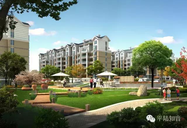 平陆我的故乡,让我魂牵梦萦的地方