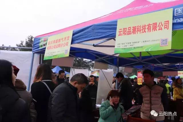 云阳公益性岗位招聘,云阳县2024年人才引进