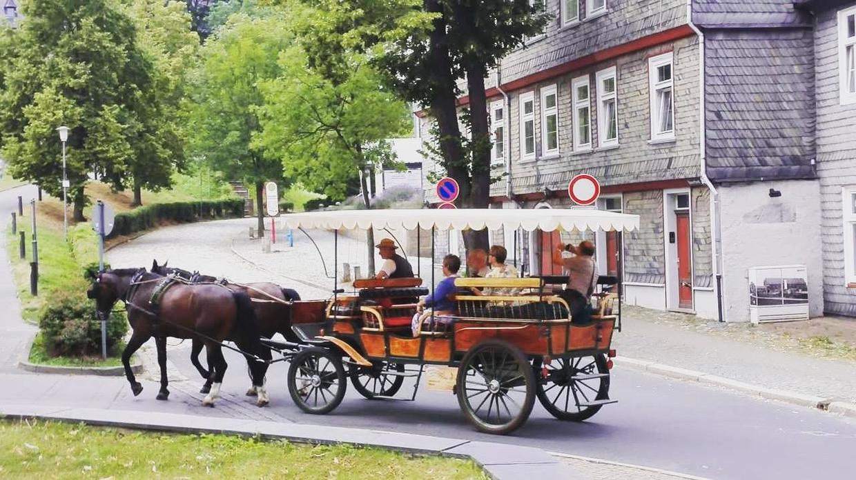 去德国旅游的游记,德国和奥地利游记攻略