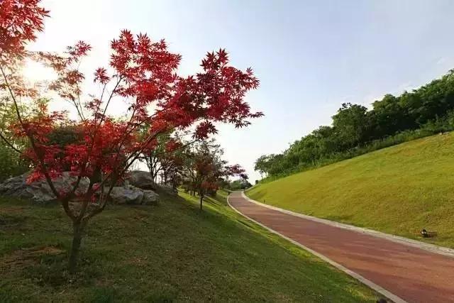 生活中的潜规则看完惊呆了,生活中有哪些潜规则需要记住