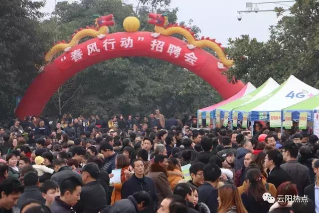 云阳公益性岗位招聘,云阳县2024年人才引进