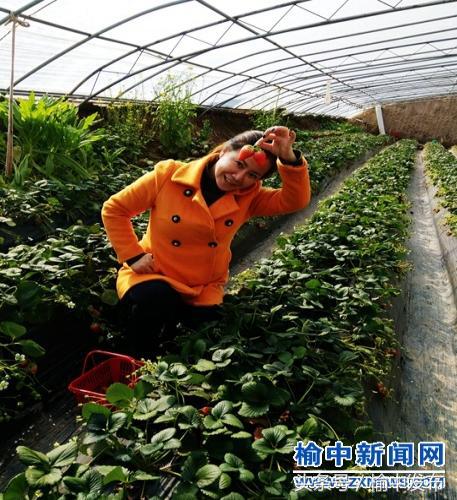 榆中县家乡的年味,秦安年味照片