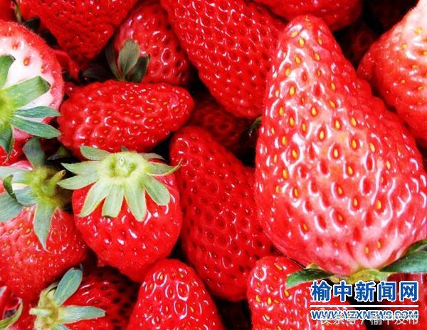 榆中县家乡的年味,秦安年味照片