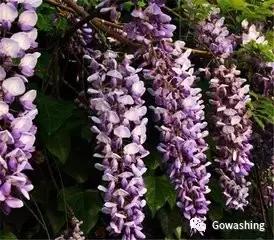 教你一招解酒最快的办法,喝多了第二天怎么快速解酒小妙招