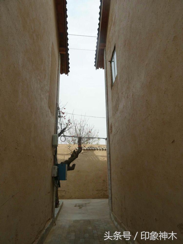 陕北俊俏女子勇闯袁家村大嘴吃四方