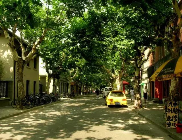 过年上海周边旅游最值得去的地方,上海假期周边旅游攻略大全