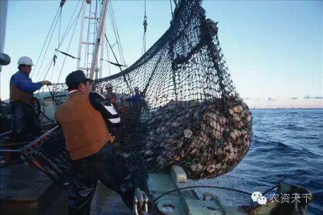 日本:一家一户的小农化也能实现机械化