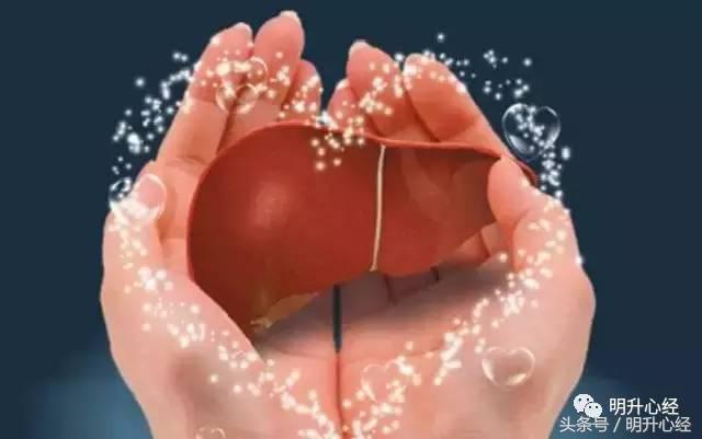 春天吃什么菜补肝养肝,肝不好的人春天如何养肝