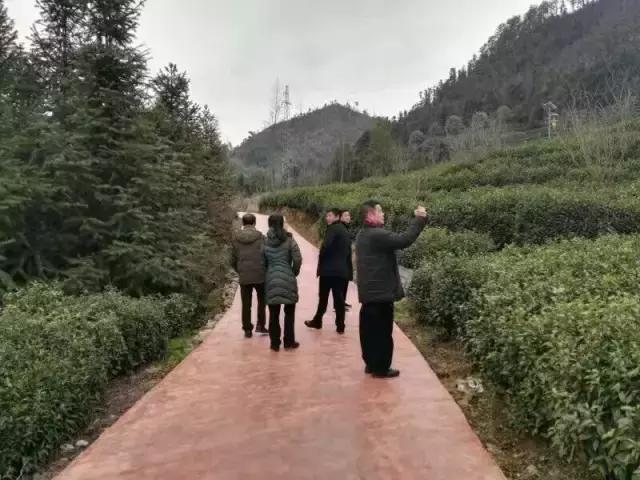 茶产业转型升级的意义,茶产业转型升级的建议