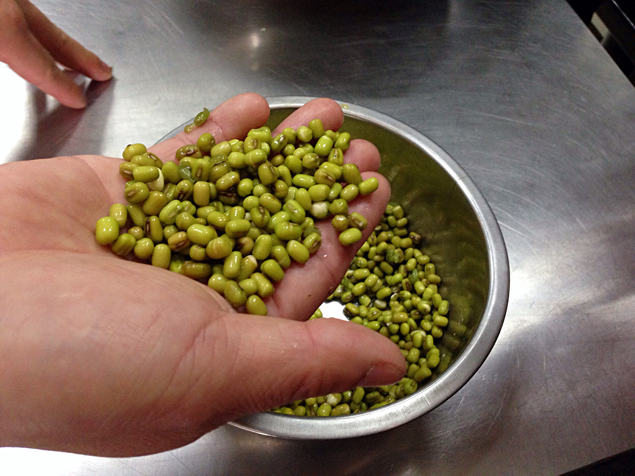 手把手教你做绿豆糕,如何做绿豆糕最简单的方法