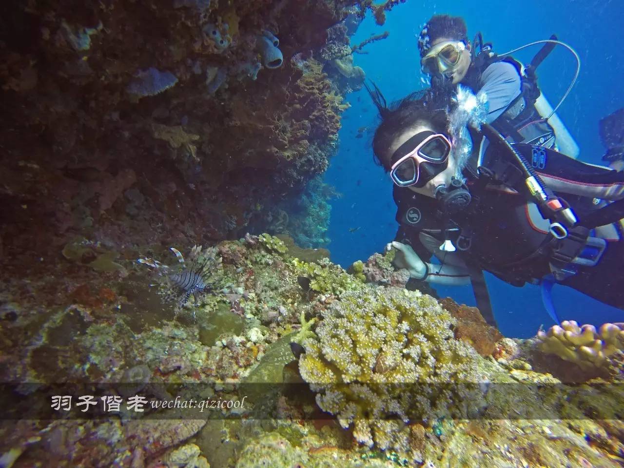 美娜多海岛一日游,印尼美娜多跟团游