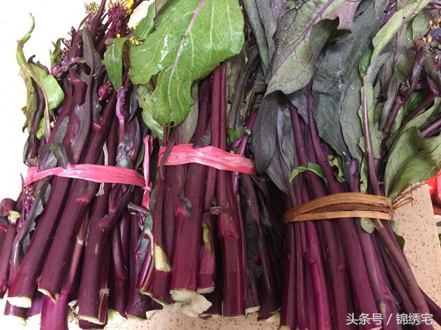 在北方不容易买到的时令蔬菜,这些特色蔬菜你见过吗