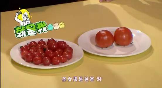 小圣女果和大圣女果区别,小番茄和圣女果哪个好吃