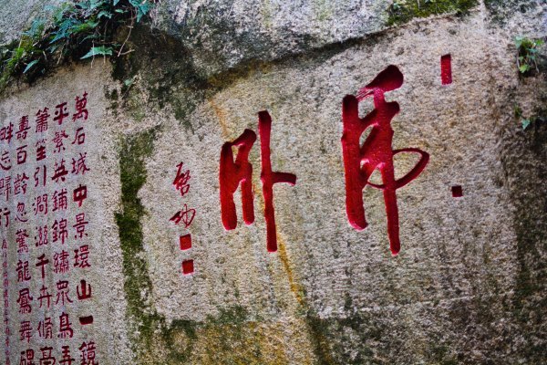 盆栽国色天香,国色天香立春