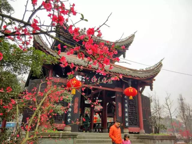 鑺辨捣閲嶇鏉ヨ,鑺辨捣鏉ヨ